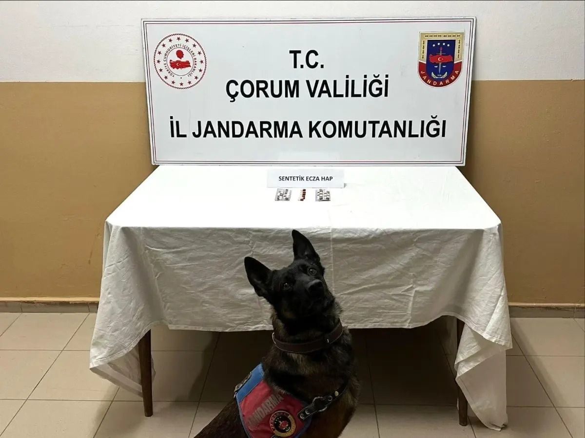 Çorum'da uyuşturucu hapla yakalanan 3 kişi gözaltına alındı