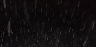 Giresun'da çığ altında kalan çoban hayatını kaybetti