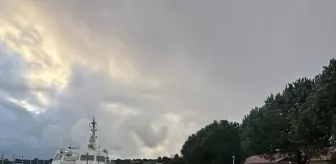 Kandıra'da kaçak avlanan 500 kalkan balığına el konuldu