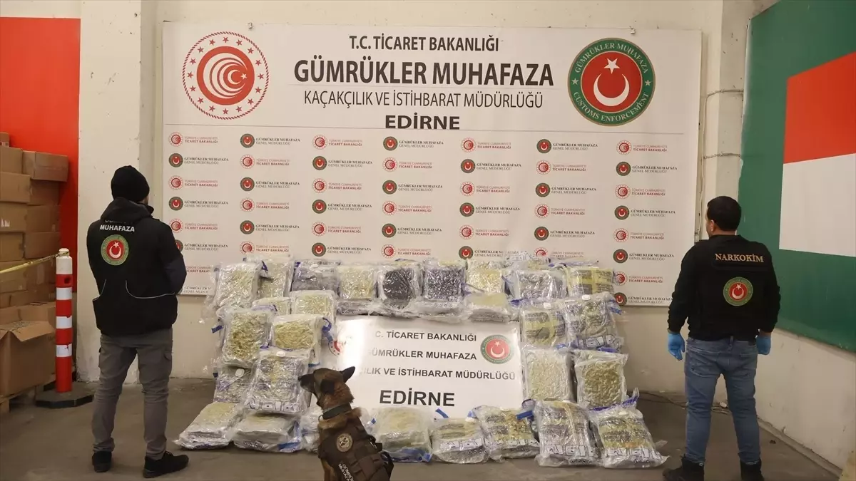 Kapıkule'de tırda 144 kilo 732 gram uyuşturucu ele geçirildi