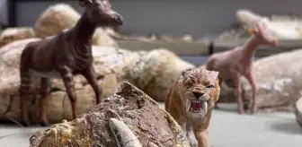 Kayseri'de bulunan dev hayvan fosillerinin minyatürleri yapılıyor