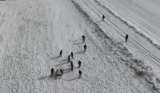 kopek dovusturenlerin dronu gorup kactigi anlar 19479994 2950 m