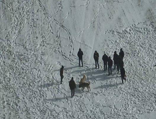 kopek dovusturenlerin dronu gorup kactigi anlar 19479994 3062 m