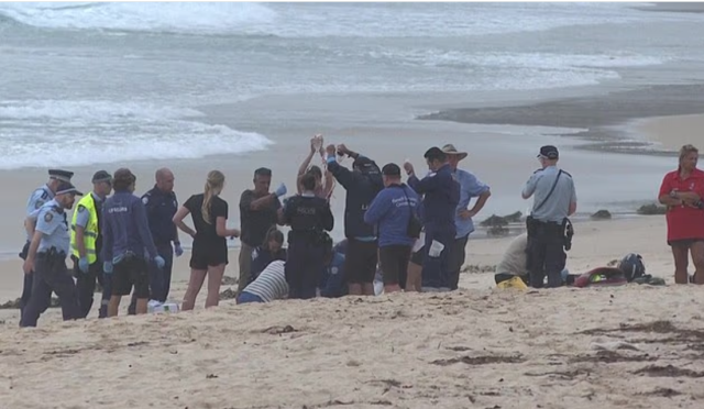 kopekbaligi sorfcuyu agir yaraladi deniz 19479885 6077 m