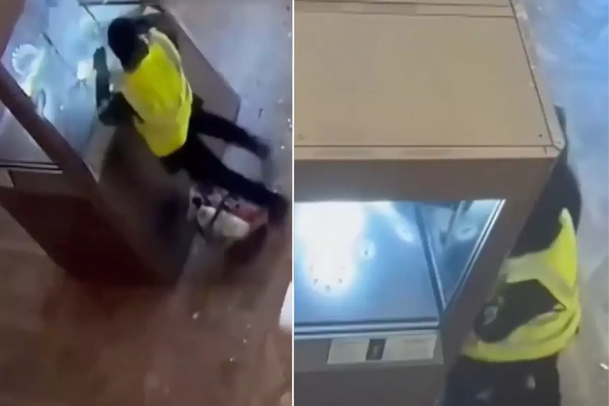 Louvre'da 88 milyon Euro'luk vurgunun ilk görüntüleri ortaya çıktı