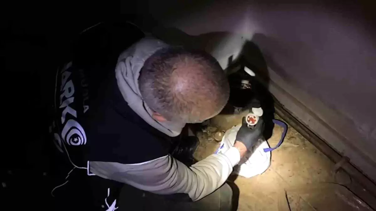 Marmaris'te uyuşturucu operasyonu: 3 tutuklama