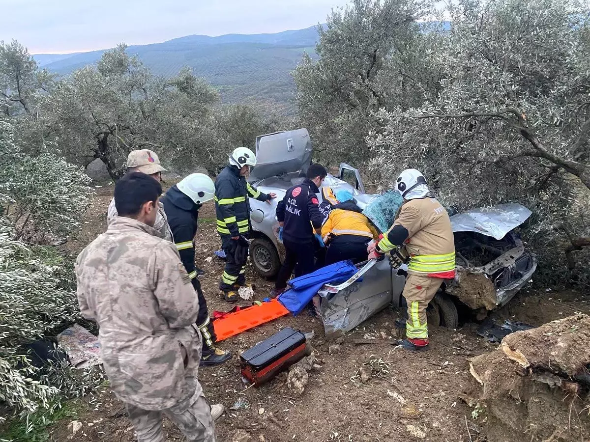 Zeytinliğe uçan otomobilin sürücüsü yaralandı