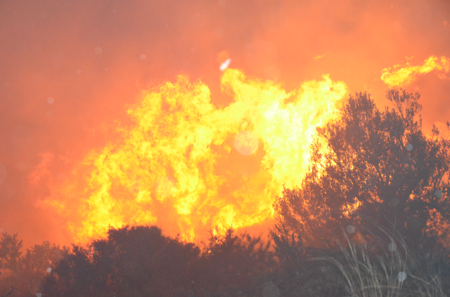antalya da evleri tehdit eden orman yangini 19481513 8590 m