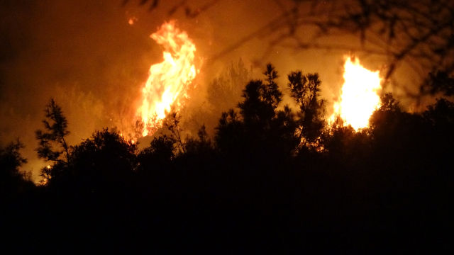 antalya da evleri tehdit eden orman yangini 19481513 9322 m