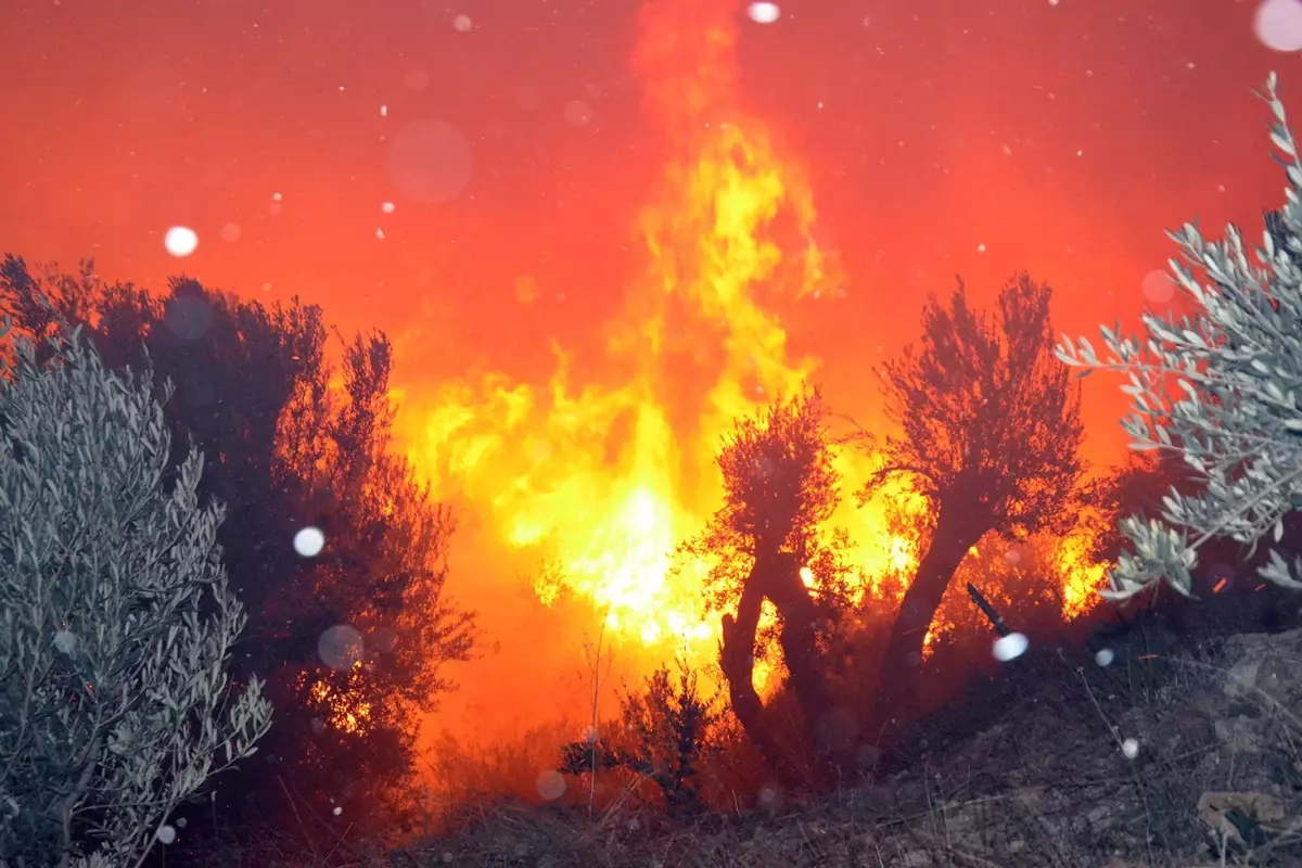 Antalya'da evleri tehdit eden orman yangını kontrol altına alındı
