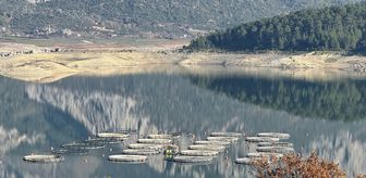 Burdur'daki Karacaören Barajı'nda üretilen alabalık ve somon yurt dışından alıcı buluyor