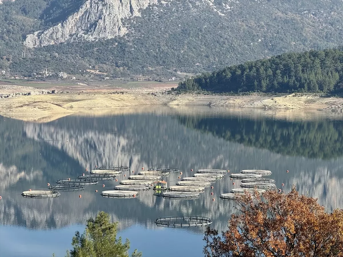 Burdur'daki Karacaören Barajı'nda üretilen alabalık ve somon yurt dışından alıcı buluyor