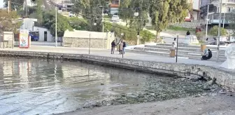 Datça'daki Kumluk Plajı'nda deniz suyu çekildi