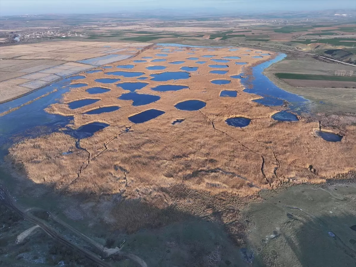 Edirne'deki Göl Baba sulak alanı buz tuttu