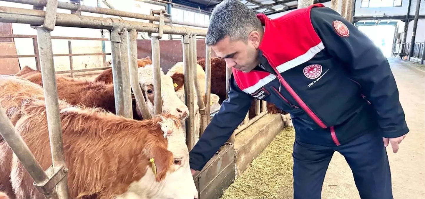 Erzurum'da 2025 yılında üreticiye güçlü destek