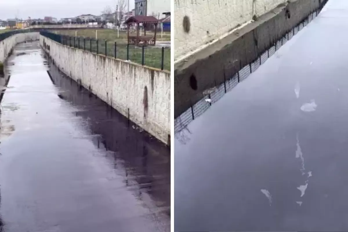 Görenler inanamadı! Dere siyah akmaya başladı