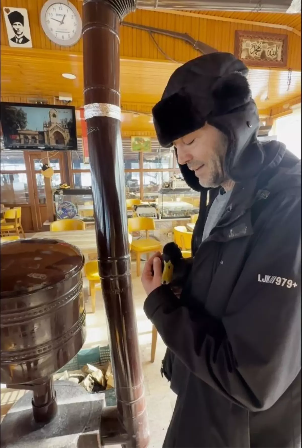 Kastamonu'da kış koşullarında bitkin bulunan ördek, beslenip doğaya salındı