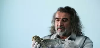 Kışın zorlu şartlarına dayanamayan yaban hayvanları Van'daki merkezde misafir ediliyor