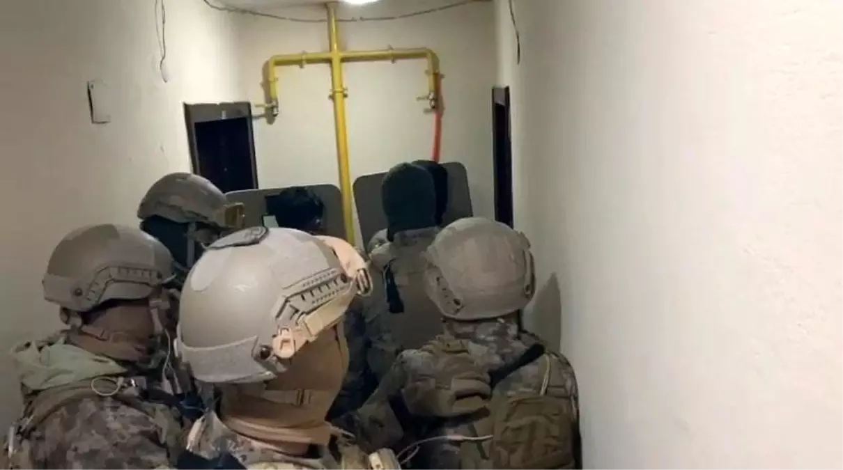 Muğla merkezli organize suç örgütü operasyonu: 11 gözaltı