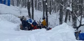 Ordu'da çatısı çöken ağıldaki 7 koyun telef oldu