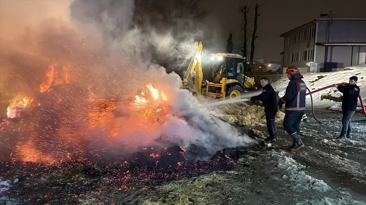 Sakarya'da saman yüklü tır alev aldı