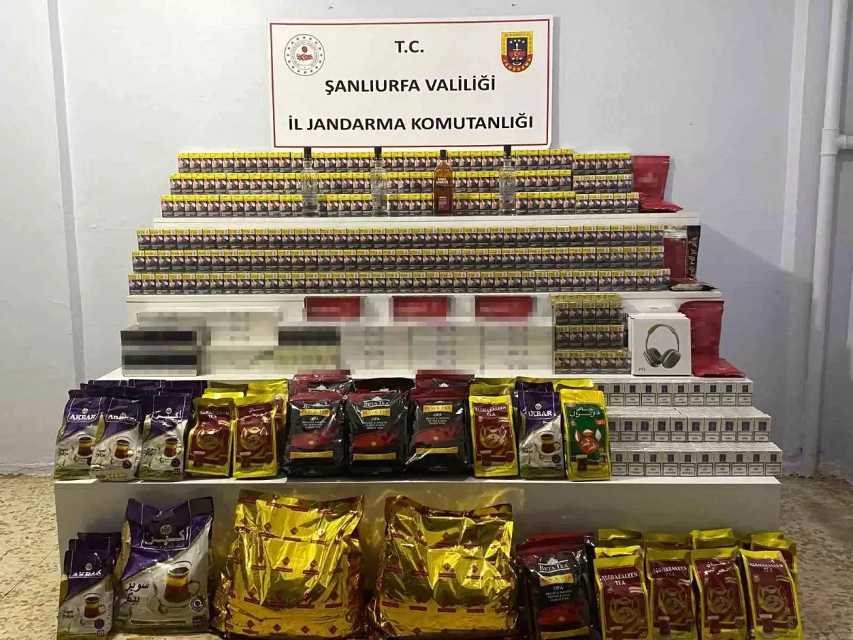 Şanlıurfa'da 9 bin 440 paket gümrük kaçağı sigara ele geçirildi