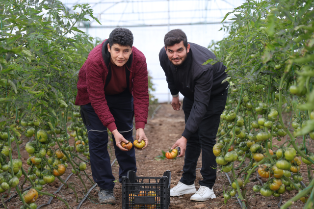 sehirde asgari ucreti birakip koyde kendi 19484434 2223 m