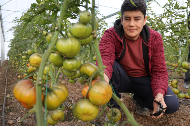 sehirde asgari ucreti birakip koyde kendi 19484434 5914 m