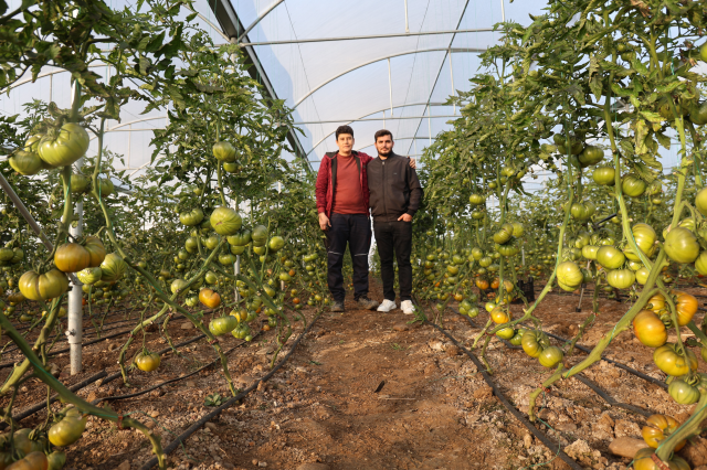 sehirde asgari ucreti birakip koyde kendi 19484434 6281 m