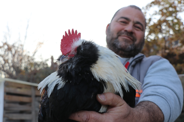 sosyal medyada gorur gormez gurbetteki 19485292 8374 m