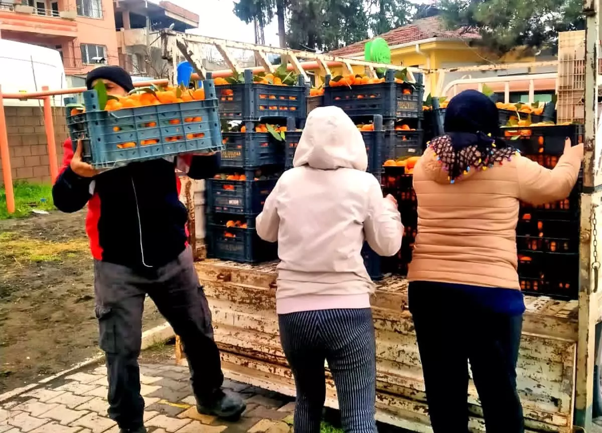 Alaçatı'dan Hatay'a dayanışma köprüsü