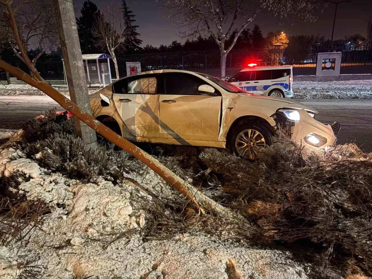 Alkollü sürücü önce ağacı devirdi ardından aydınlatma direğine çarptı