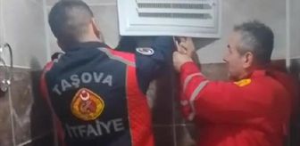Amasya'da apartman boşluğunda mahsur kalan kargayı itfaiye kurtardı