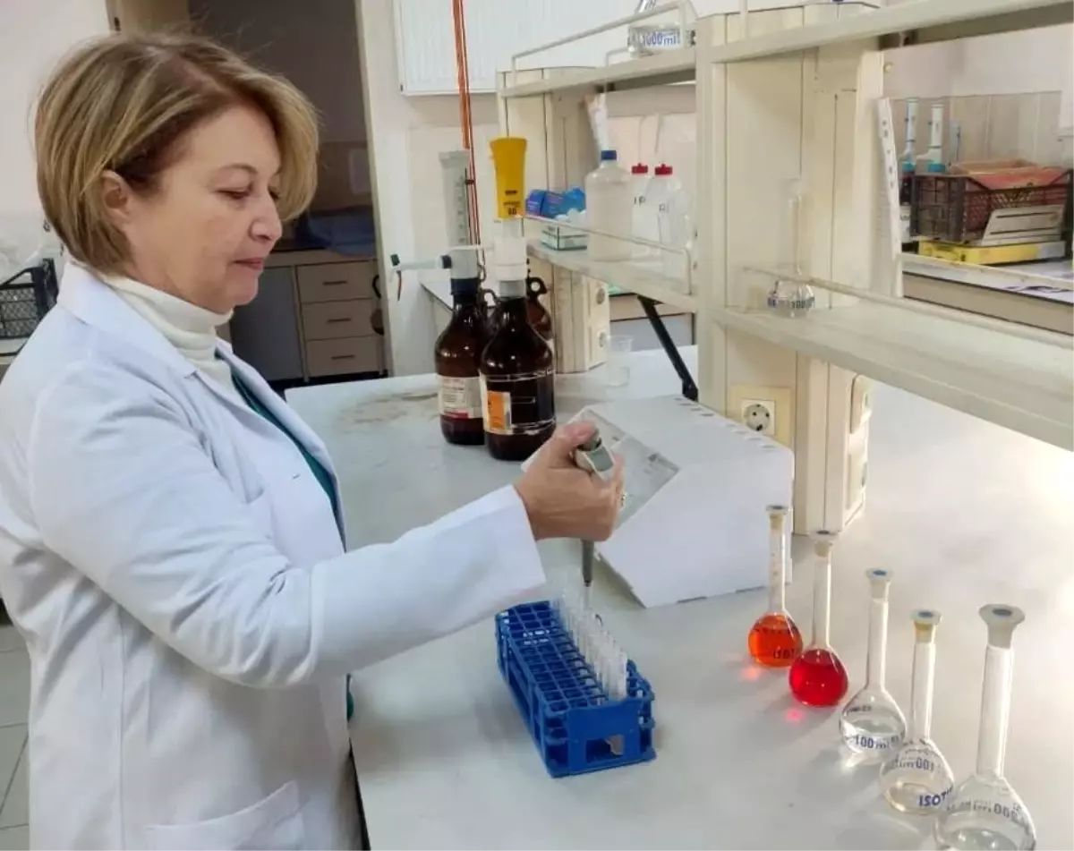 Aydın tarımında 2025 bilançosu açıklandı