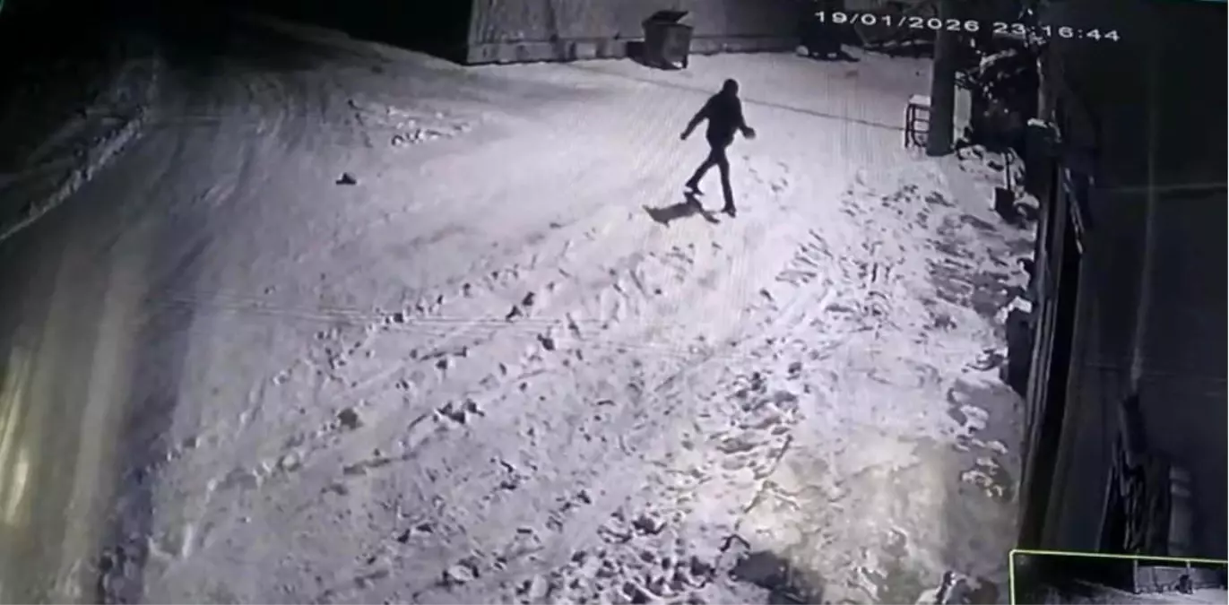 Bahçesine giren kurtları çaydanlıktaki sıcak suyla kovaladı