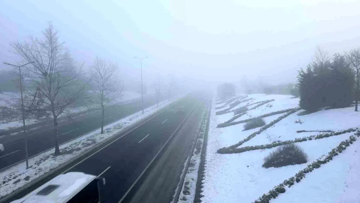 Düzce'de sis ve soğuk hava etkili oluyor