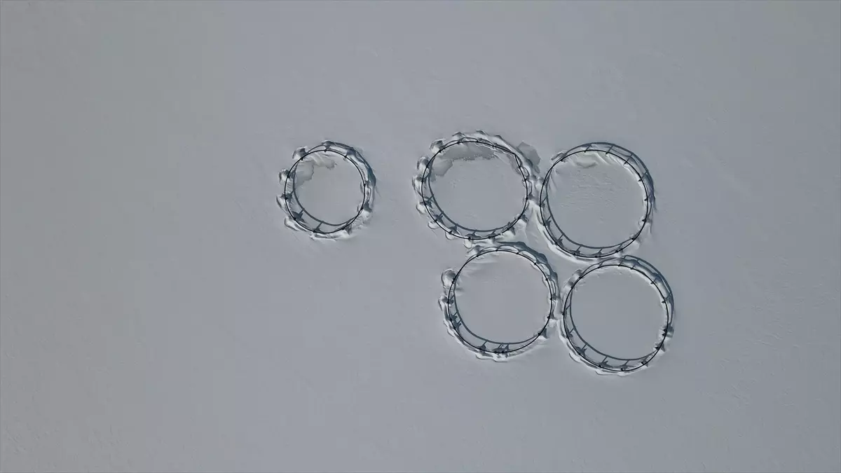 Erzincan'daki Göyne Barajı soğuk havanın etkisiyle dondu