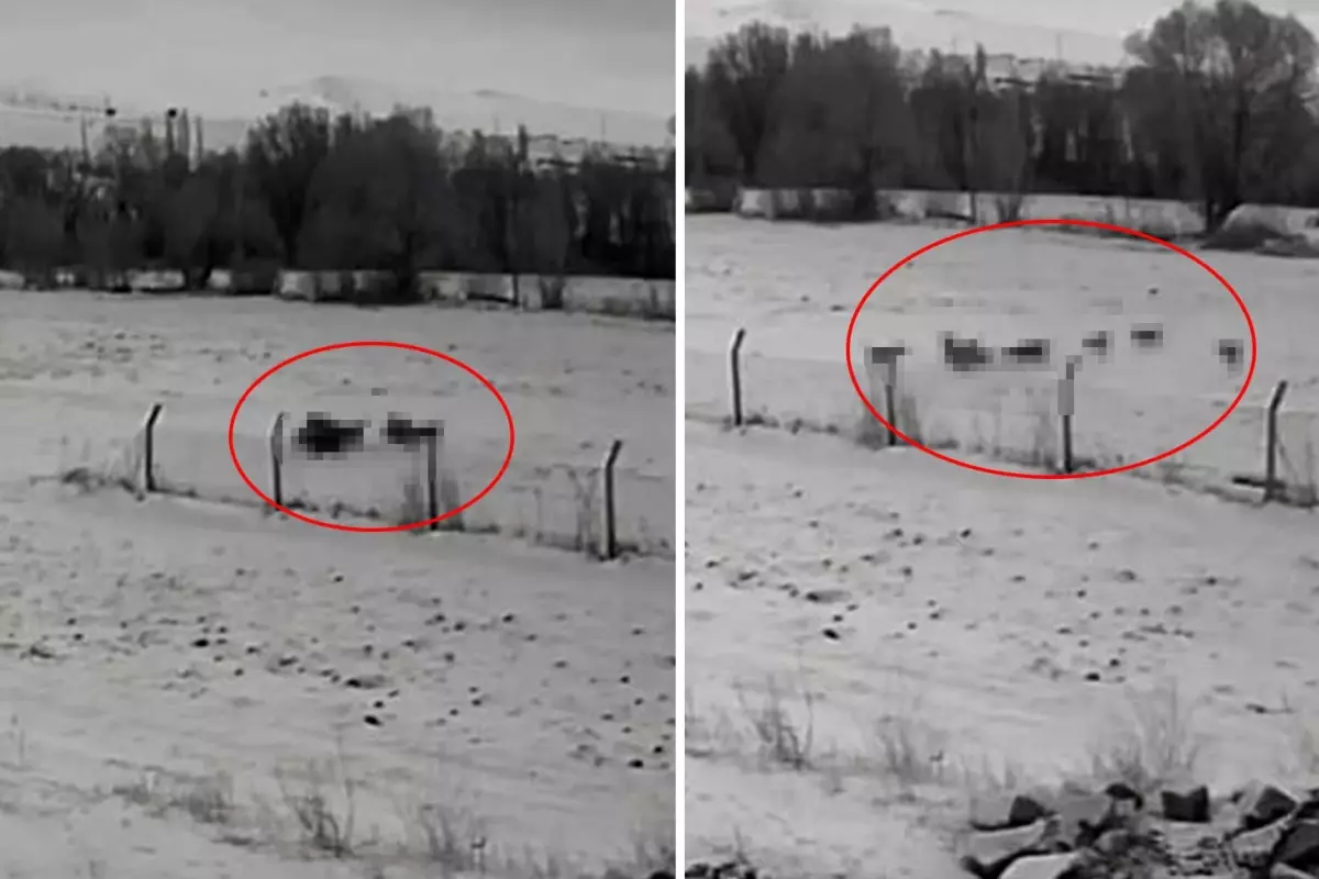 Görüntü Türkiye'den: Gündüz vakti baskın yaptılar, vatandaşlar korku içinde