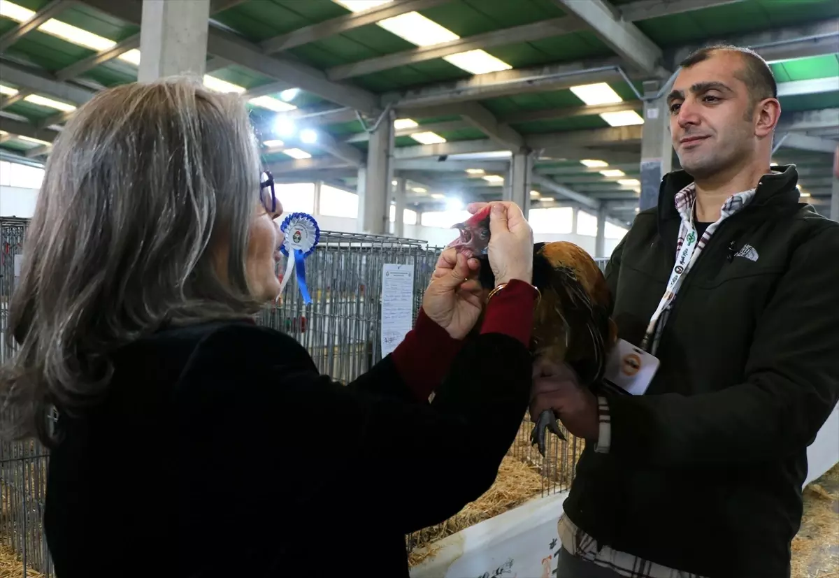 KOSGEB desteğiyle kurduğu işletmede "Tavuk Doktoru" markasıyla kanatlı sağlığına odaklandı
