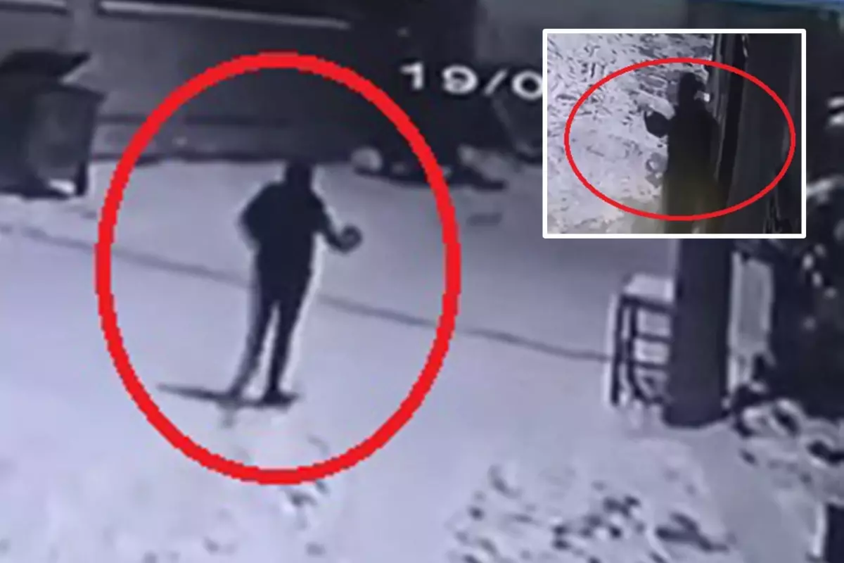 Mahalleye inen kurtları elindeki çaydanlıkla kovaladı