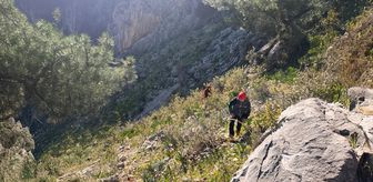 Muğla'da kayalıklarda mahsur kalan iki oğlağı AFAD ekibi kurtardı