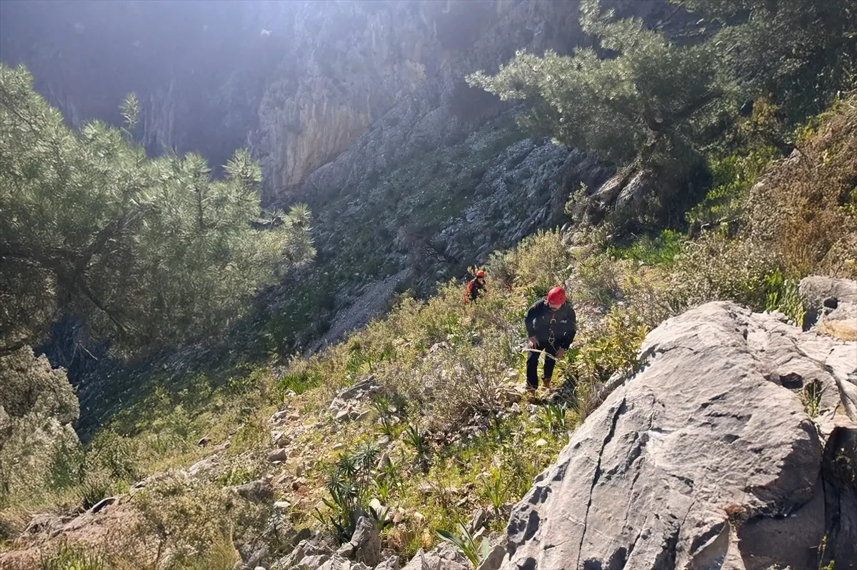 Muğla'da kayalıklarda mahsur kalan iki oğlağı AFAD ekibi kurtardı
