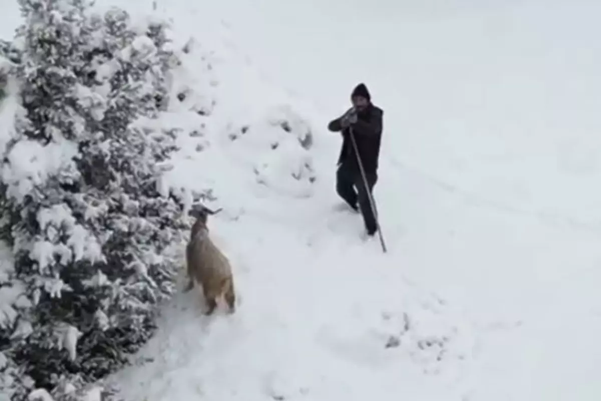Nallıhan'da çoban, gördüğü drona tüfek doğrulttu; o anlar kamerada