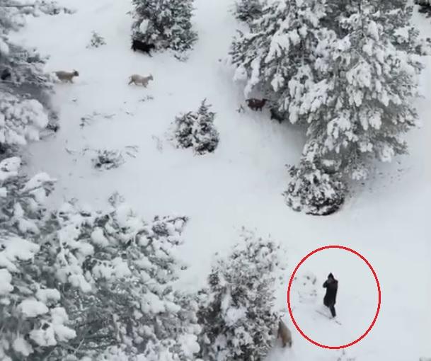 nallihan da coban gordugu drona tufek dogrulttu 19489288 4607 m