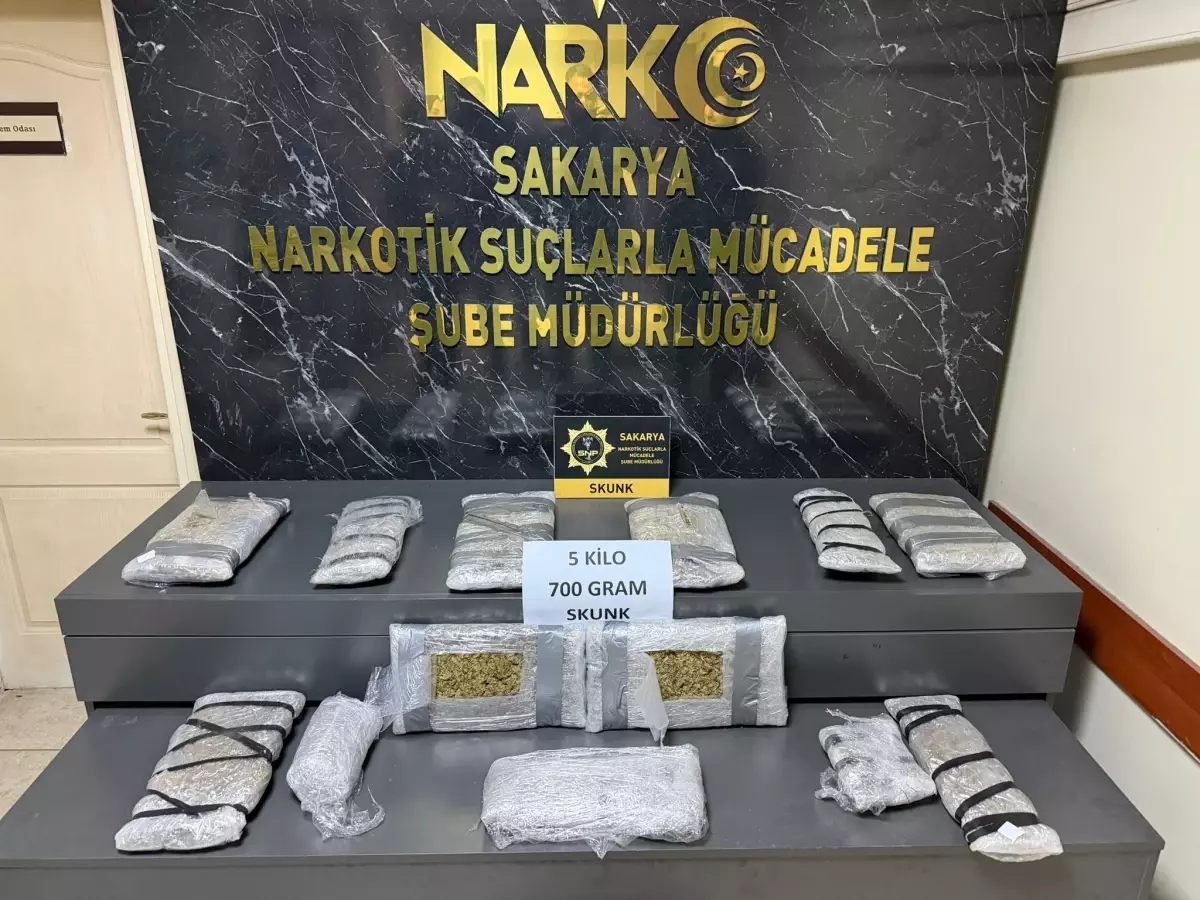 Sakarya'da 5 kilo 700 gram skunk ele geçirildi: 1 tutuklama