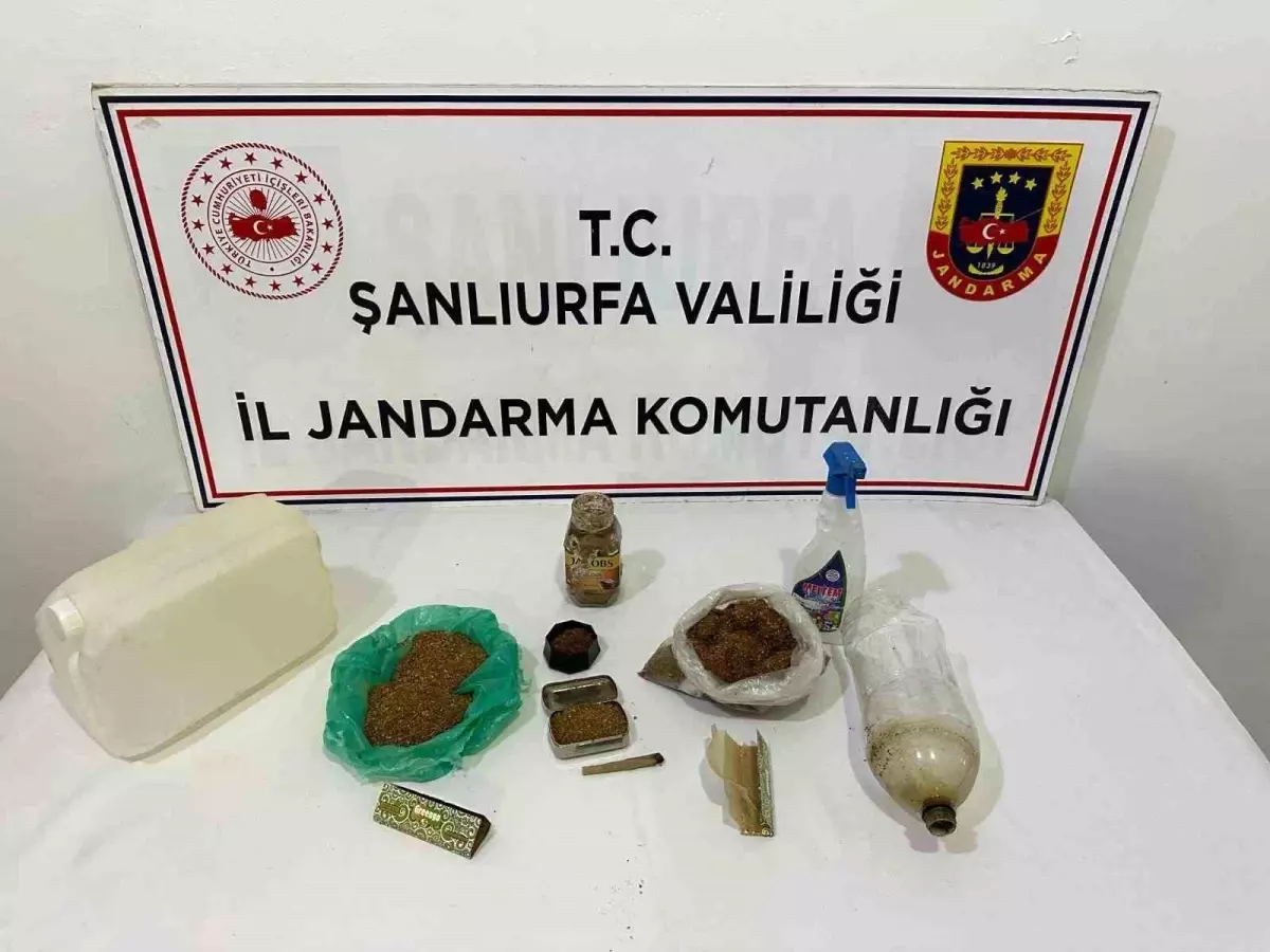 Şanlıurfa'da uyuşturucu operasyonu: 9 gözaltı