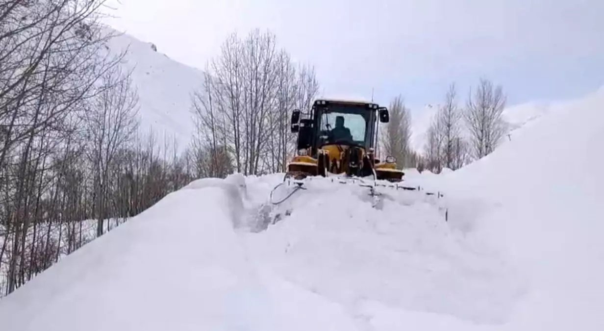 Şırnak'ta karla mücadele çalışmaları sürüyor