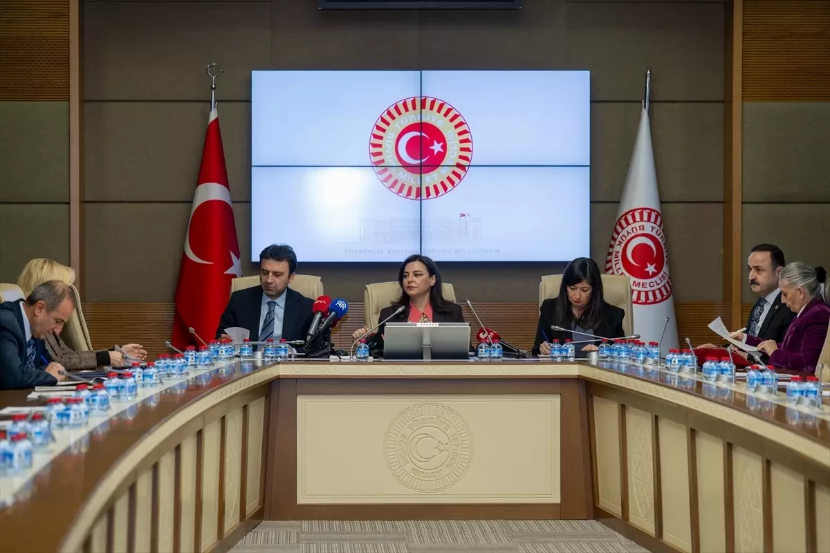 TBMM Suça Sürüklenen Çocuklara İlişkin Araştırma Komisyonu, İstanbul Emniyet Müdürlüğü yetkililerini dinledi