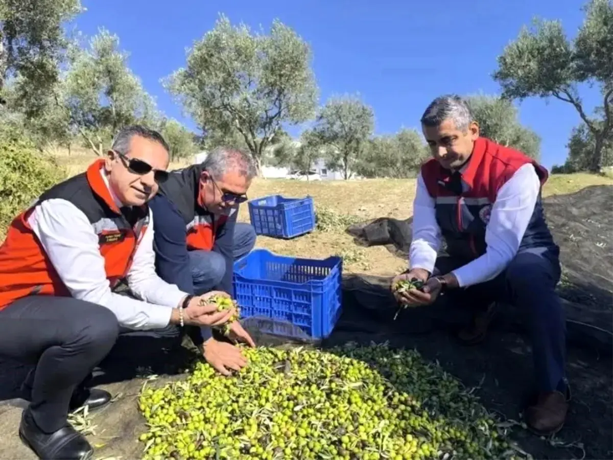 Aydın'da bir yılda 3 bini aşkın tarımsal denetim yapıldı