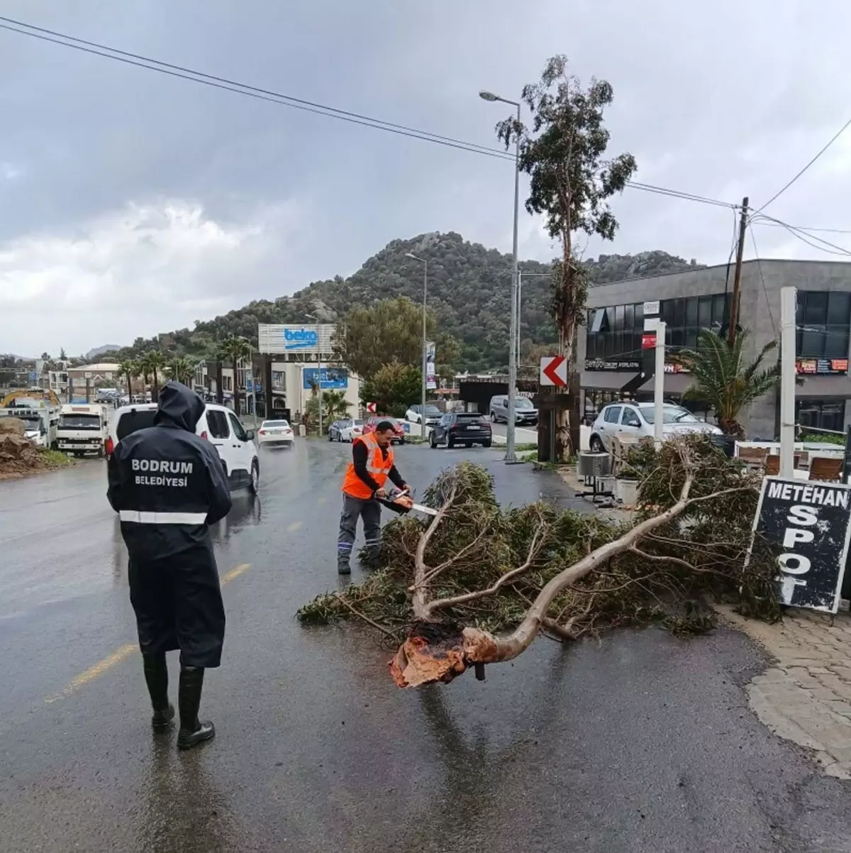 Bodrum'da Fırtına Etkili: Ağaçlar Devrildi, Balıkçı Tekneleri Su Aldı